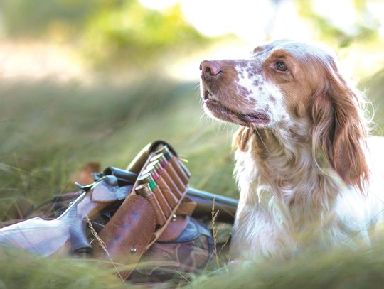 10 tips on practicing good hunting safety