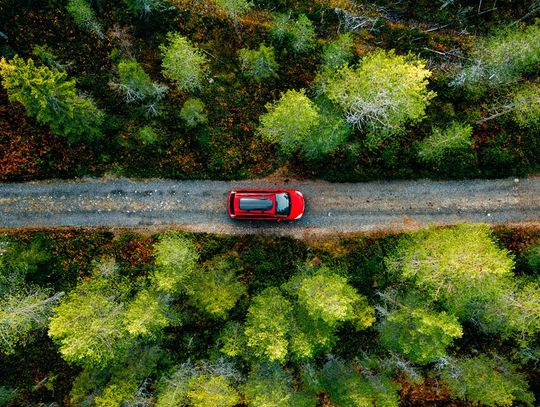 The top of a red car driving down an unpaved country road. Multiple trees are on both sides of the road.