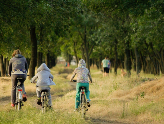 4 Sports to Play With the Entire Family