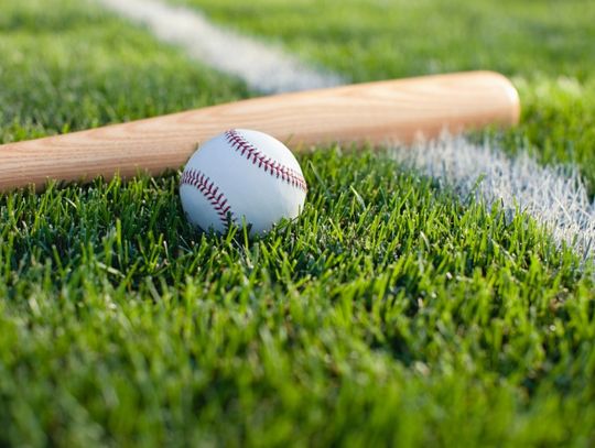 A wooden baseball bat is lying in the grass next to a baseball. A white stripe vertically appears in the grass.