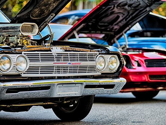 A lineup of multiple classic cars, all with bright, metallic finishes at a car show. Each car has its hood popped open.