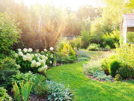 A beautiful rolling garden with an assortment of bushes, grass, flowers, and trees with a shed in the background.