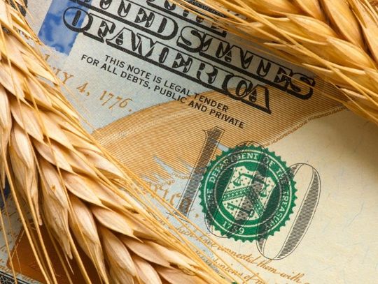 Benefits of Getting a Loan for Your Agricultural Business