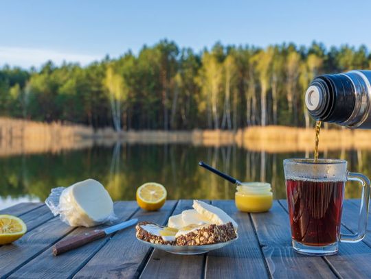 Best Foods To Take On Your Next Camping Trip