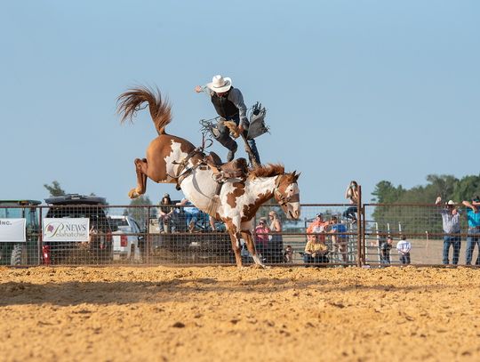 Bucking Bronc Bash raises $9,000 for local charities