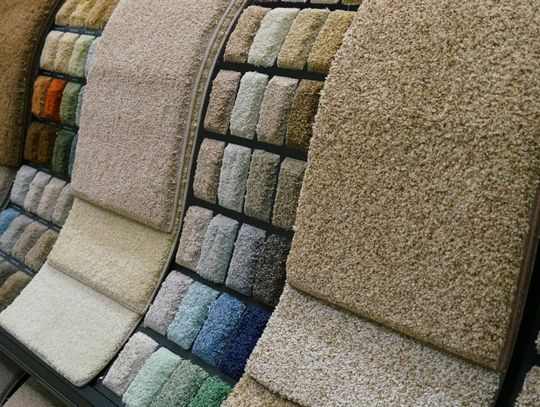 Choosing the Perfect Carpet for Your Home