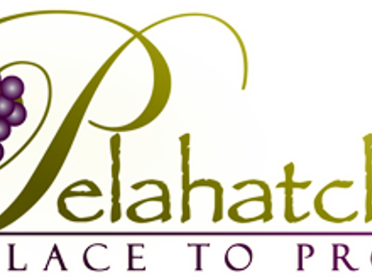 City of Pelahatchie Board of Alderman Meeting Notes