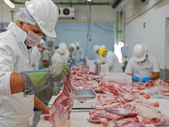 Common Hazards Food Processing Workers Face