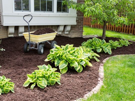 Freshly laid mulch beneath a box window in a landscaped portion of a yard. A wavy ring of bricks encircles the mulch.