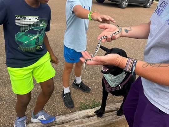 Crooked Creek Animal Hospital participates in D.A.R.E. Fun Day