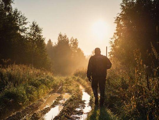 A hunter walking through the brush holding his rifle in his right hand, as the sun sets after a recent rainstorm.