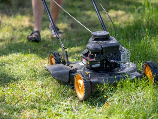 GreenPal Lawn Mowing Service Launched In Pelahatchie