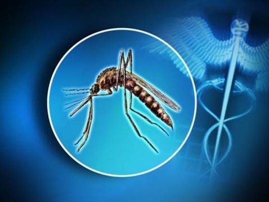 Health Officials Report First Human Case of West Nile Virus for 2020