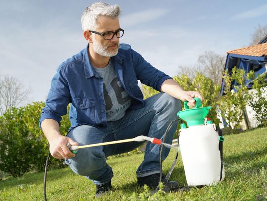 Herbicides, summer weeds and how to control them