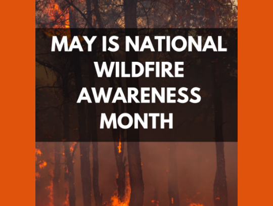 HOW CAN I PROTECT MY HOME FROM WILDFIRES?