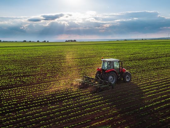 A red tractor cultivating rows of green crops in a wide field beneath a cloudy sky with distant wind turbines.