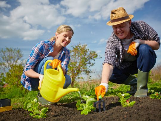 How to Balance Your HOA and Your Gardening Projects