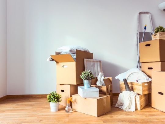 A bright room contains stacked moving boxes, a ladder, plants, and household items beside an empty wall.