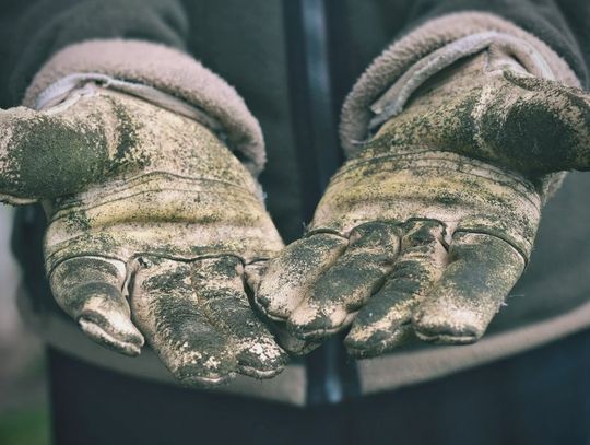 How To Know When To Replace Your Work Gloves