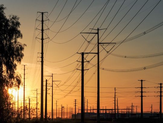 A dense space of utility poles with lines overlapping across the sky. The sunset is creating a shadow around the poles.