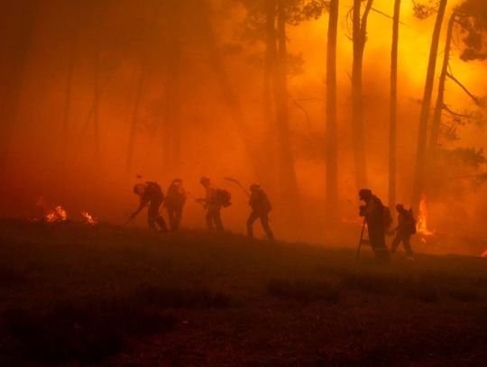 Wildland firefighters work through a smoky forest as flames burn among the trees during an active wildfire.