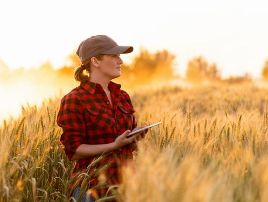 A farmer with their sleeves rolled up standing in a grain field during the daytime. The farmer holds a small tablet.