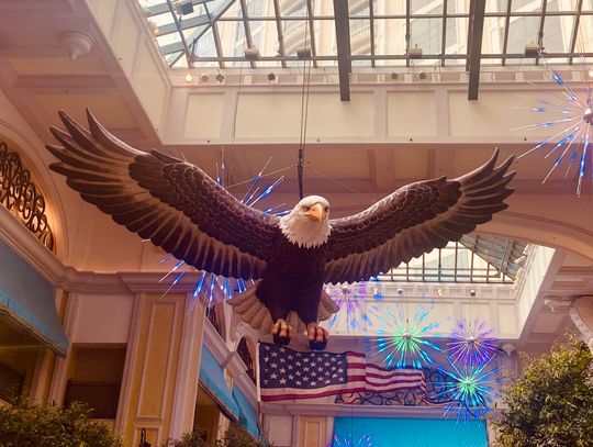 A majestic bald eagle hovers over the lobby and atrium at the Beau Rivage Resort and Casino in Biloxi; just one of the many patriotic symbols on display in advance of America’s 250th birthday on July 4.