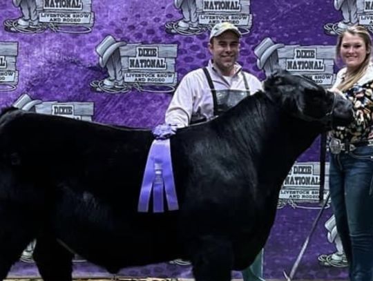 Lindsey participates in Livestock Showdown