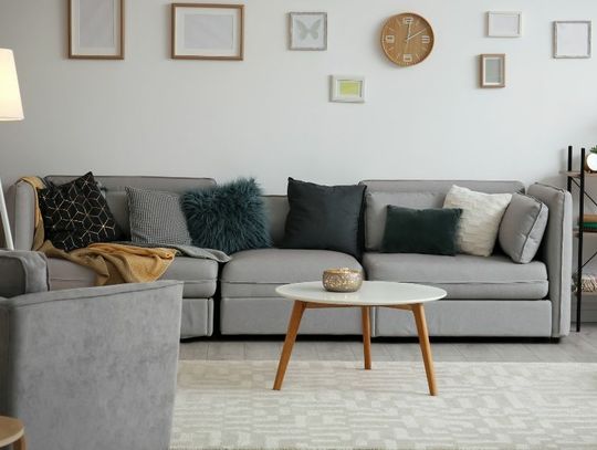 Living Room Essentials for Your First Apartment