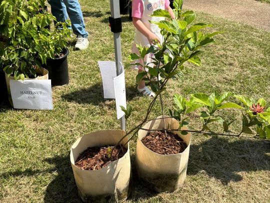 Local residents take time to enjoy Farmers Market