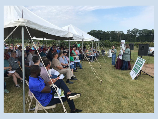 Muscadine field day set for Aug. 27