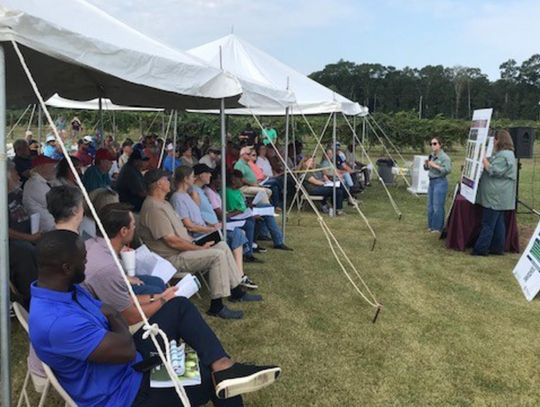 Muscadine Field Day was held Aug. 27