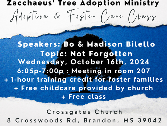 Next Adoption & Foster Care class will be on Wednesday, October 16th, 2024 at Crossgates Church in room 207