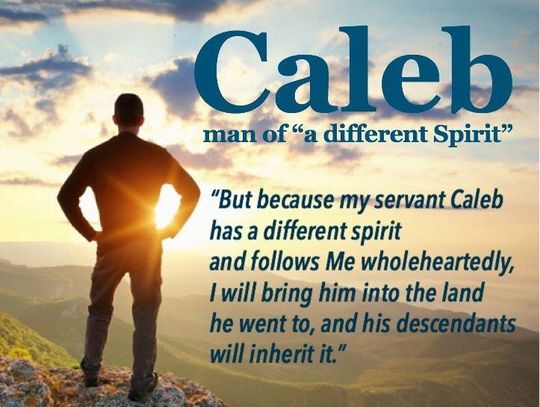 Pastor’s Perspective: A Faith That Follows Fully