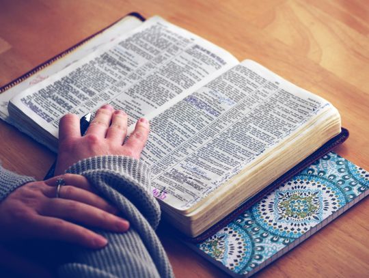 Pastor’s Perspective: Reading the Word and Reacting in Obedience