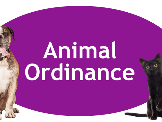 Pelahatchie Animal Ordinance