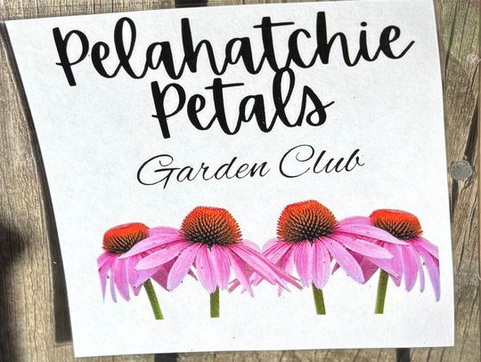 Pelahatchie Petals designed to beautify Pelahatchie
