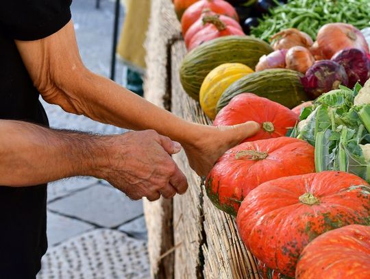 Popular Fall Crops To Sell at a Farmer’s Market