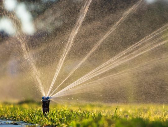 Signs That Your Property Isn’t Irrigated Properly