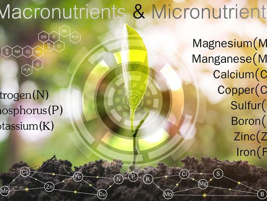 Soil management, testing, and nutrients