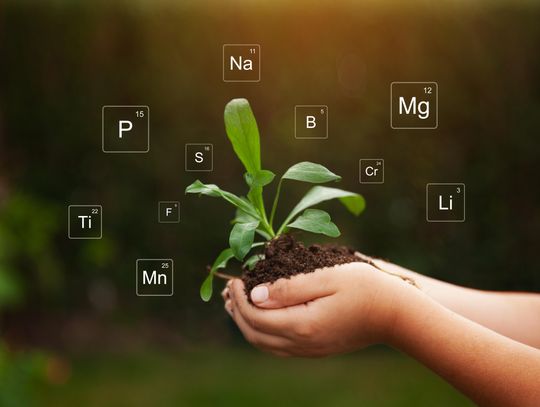 Soil testing: Improving the quality of your garden