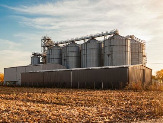 The Advantages of Using Silos for Storing Grain