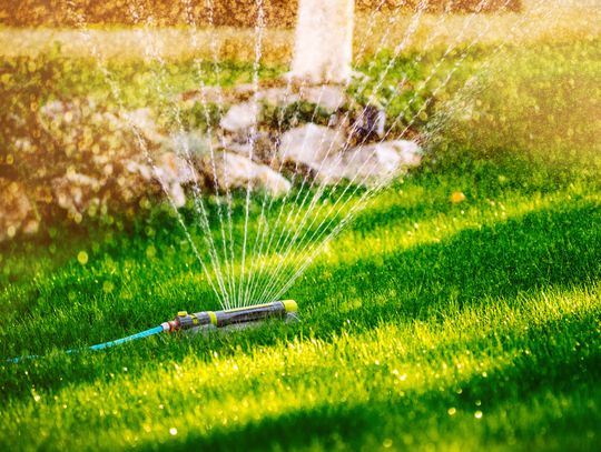 The benefits and care for the modern home lawn