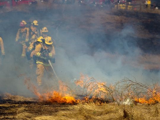 A group of five wildland firefighters wearing high-visibility protective gear stand in a line while holding a hose.