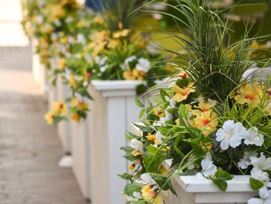 A series of white pillars with yellow and white flowers in front of a restaurant patio and stone street.