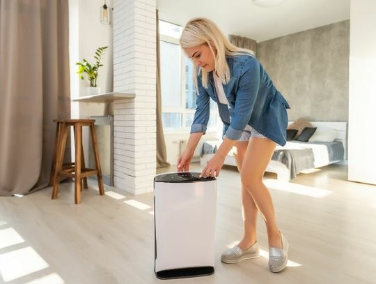 The Pros and Cons of Owning an Air Purifier