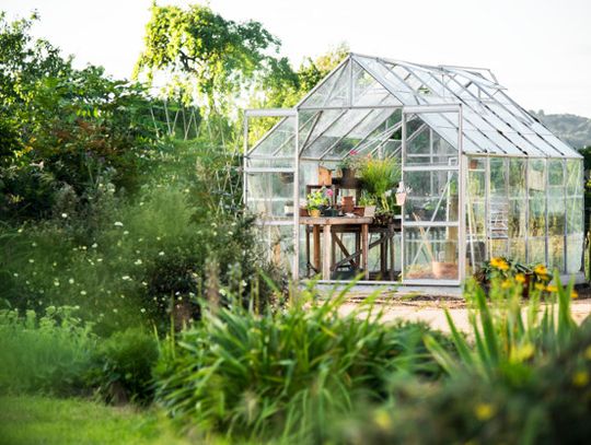 Things to Keep in Mind While Designing Your Hobby Greenhouse