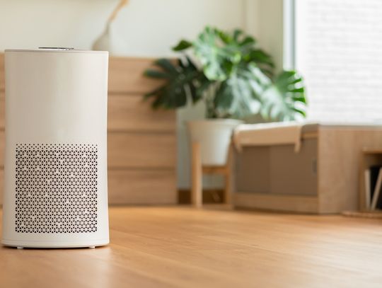 A small white air purifier sitting alone on a wooden floor near a green plant in a home. A window is nearby.