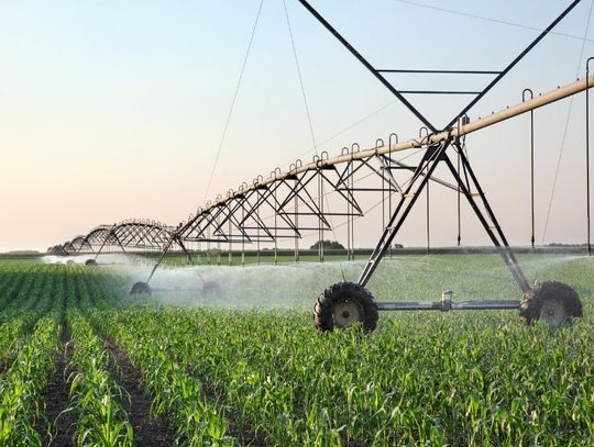 Tips for Improving Your Irrigation System