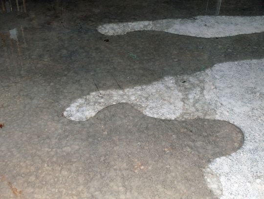 A wet concrete basement floor with shallow water spreading across the surface near dark walls and scattered marks.